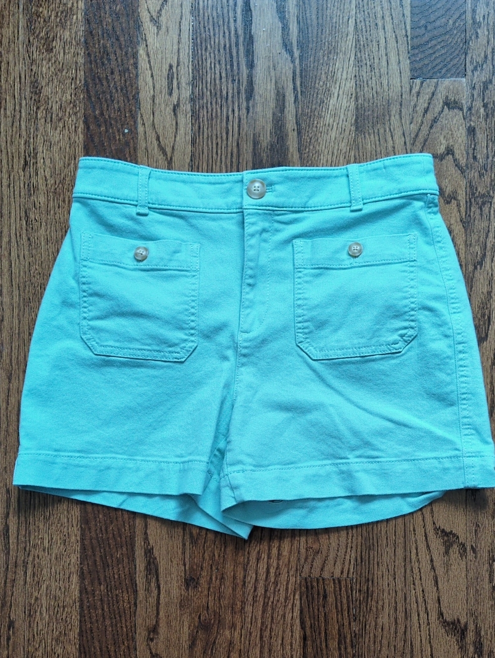 LOFT Aqua Palmer Shorts
